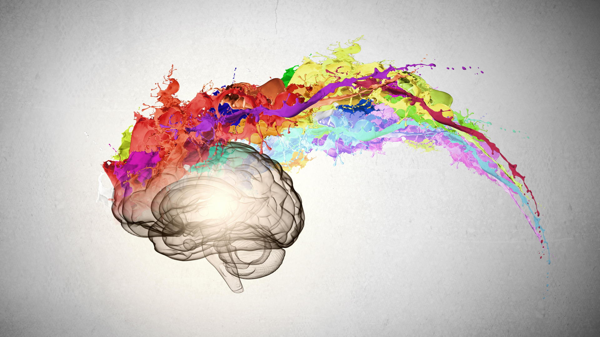 Cerebro.jpg